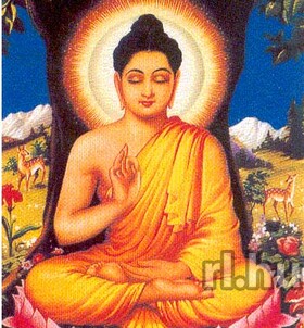 P�cs, Lizett 06209905245