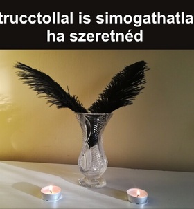 Szeged, Massz�zs 06303094016