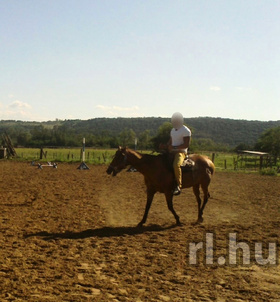 Budapest, Mateo 06205757382