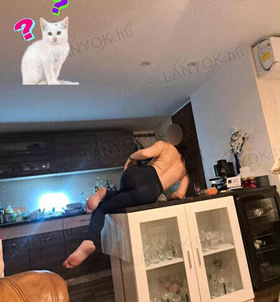 Ft, Mzi 06704219156 - Feltltve: 2023-05-30