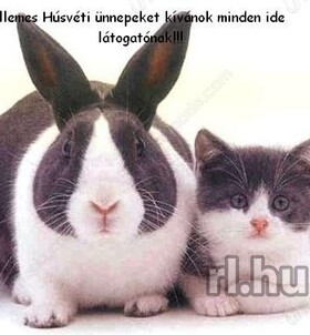 Debrecen, MeztelenHuncut-Massz�r 06206252231