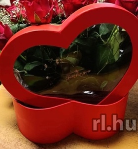 Mira Győr escort Mädchen