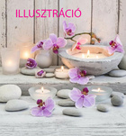 Kaposvr, Miranda 06305210402