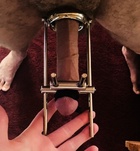 Mistress_Darla_Ky (31 éves) - Telefon: +36 30 / 690-9990 - Budapest, XII