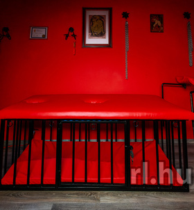 Mistress_Dorothy (40+ éves) - Telefon: +36 20 / 337-6720 - Érd