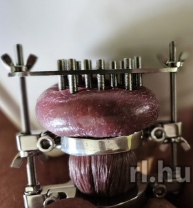 MistressWildness (37+ éves) - Telefon: +36 20 / 454-7160 - Budapest
