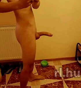 Fegyvernek, Nexus 06206277634