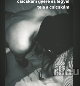 Gy�r, Niki�rn�top 06308299654