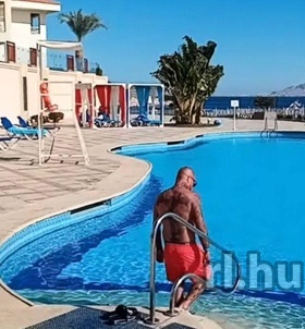 Ny�regyh�za, Niko 06305630470