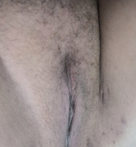 Salgtarjn, Nixa 06307256326