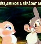 Salgtarjn, Nixa 06307256326