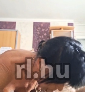 Popókirálynő (50+ éves) - Telefon: +36 30 / 734-0890 - Budapest, XIV