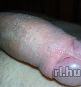 Veszpr�m, Profi 06702730179