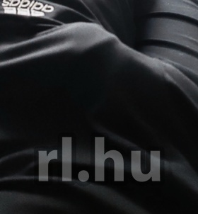 Roland Hatvan escort m�dchen