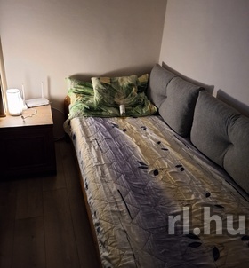 Ny�regyh�za, Roland39 06203787663