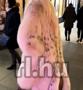 Budapest, Roxana 06202552274