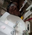 Budapest, Roxi 06205899202