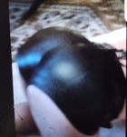 Ft, Sheron 06202556650