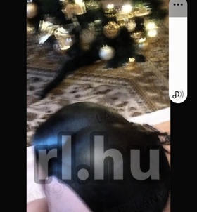 F�t, Sheron 06202556650