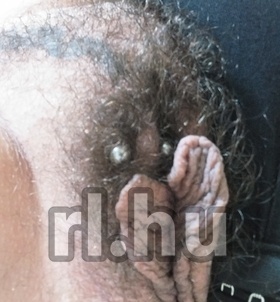 T�pi�szentm�rton, Sissy 06301563544