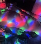 Budapest, Skorpi�_XIV 06305917598