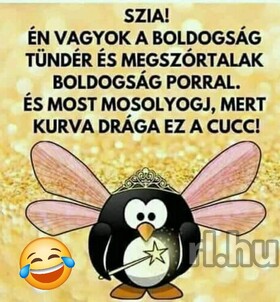 Stella (50+ éves) - Telefon: +36 70 / 566-6924 - Debrecen