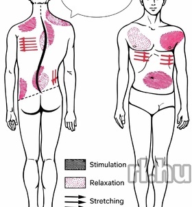 Budapest, SweetWasabi 06302748988