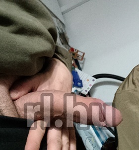 Szeged, Szegidom 06707906575