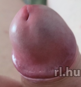 Szeged, Szeret�_Karbantart�d 06702973428