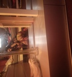 Szidri22 (26 éves) - Telefon: +36 30 / 447-6132 - Dabas