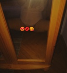 Szofi (30 éves) - Telefon: +36 20 / 558-6883 - Budapest, XXI