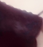 Szofi (30 éves) - Telefon: +36 20 / 558-6883 - Budapest, XXI