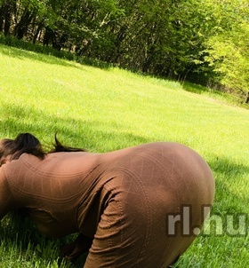 Dunakeszi, Szonya 06702963186