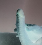 Tamás (34 éves) - Telefon: +36 30 / 826-9378 - Martfű