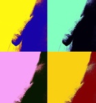 Tamás (34 éves) - Telefon: +36 30 / 826-9378 - Martfű