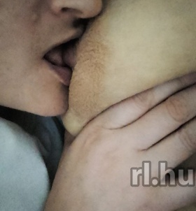 Szeged, TiltottGy�m�lcs 06202870028