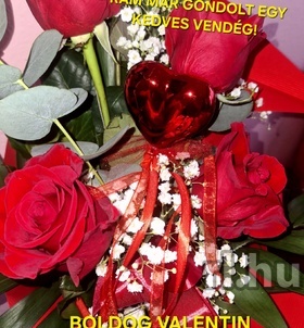 Timi_Dögös_Milf (43+ éves) - Telefon: +36 30 / 276-1206 - Békéscsaba