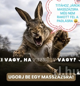 Tita (47+ éves) - Telefon: +36 20 / 439-1870 - Eger