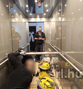 Tomi (39 éves) - Telefon: +36 30 / 277-7975 - Kalocsa