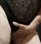 Szeged, Vadmacska 06702960022