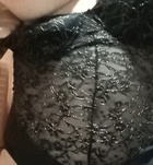 Szeged, Vadmacska 06702960022