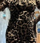 Szeged, Vadmacska 06702960022