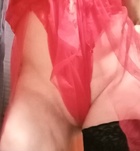 Szeged, Vadmacska 06702960022