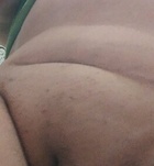 Szeged, Vadmacska 06702960022