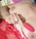 Szeged, Vadmacska 06702960022