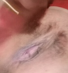 Szeged, Vadmacska 06702960022