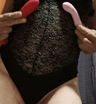 Szeged, Vadmacska 06702960022