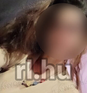 Inrcs, VadVirag 06209848496