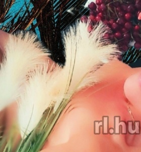 Budapest, Vanda 06205913610