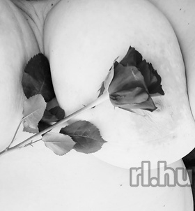 Budapest, Vir�g 06701710100